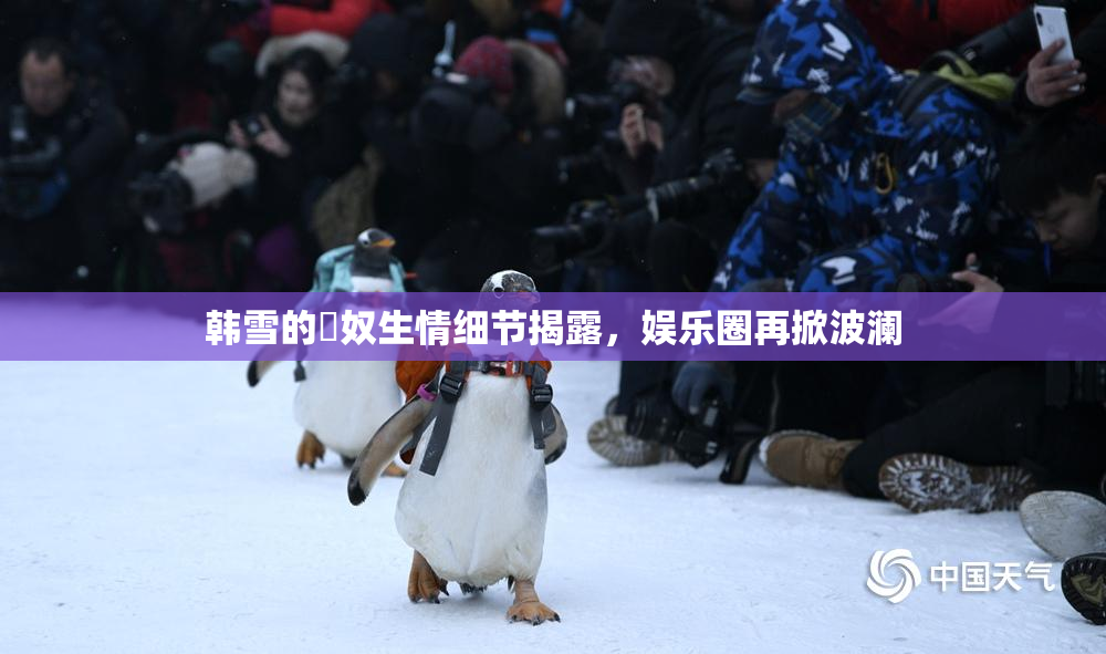 韩雪的婬奴生情细节揭露，娱乐圈再掀波澜