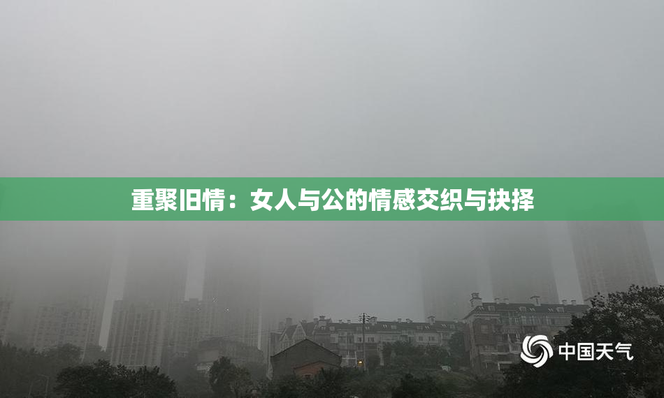 重聚旧情：女人与公的情感交织与抉择