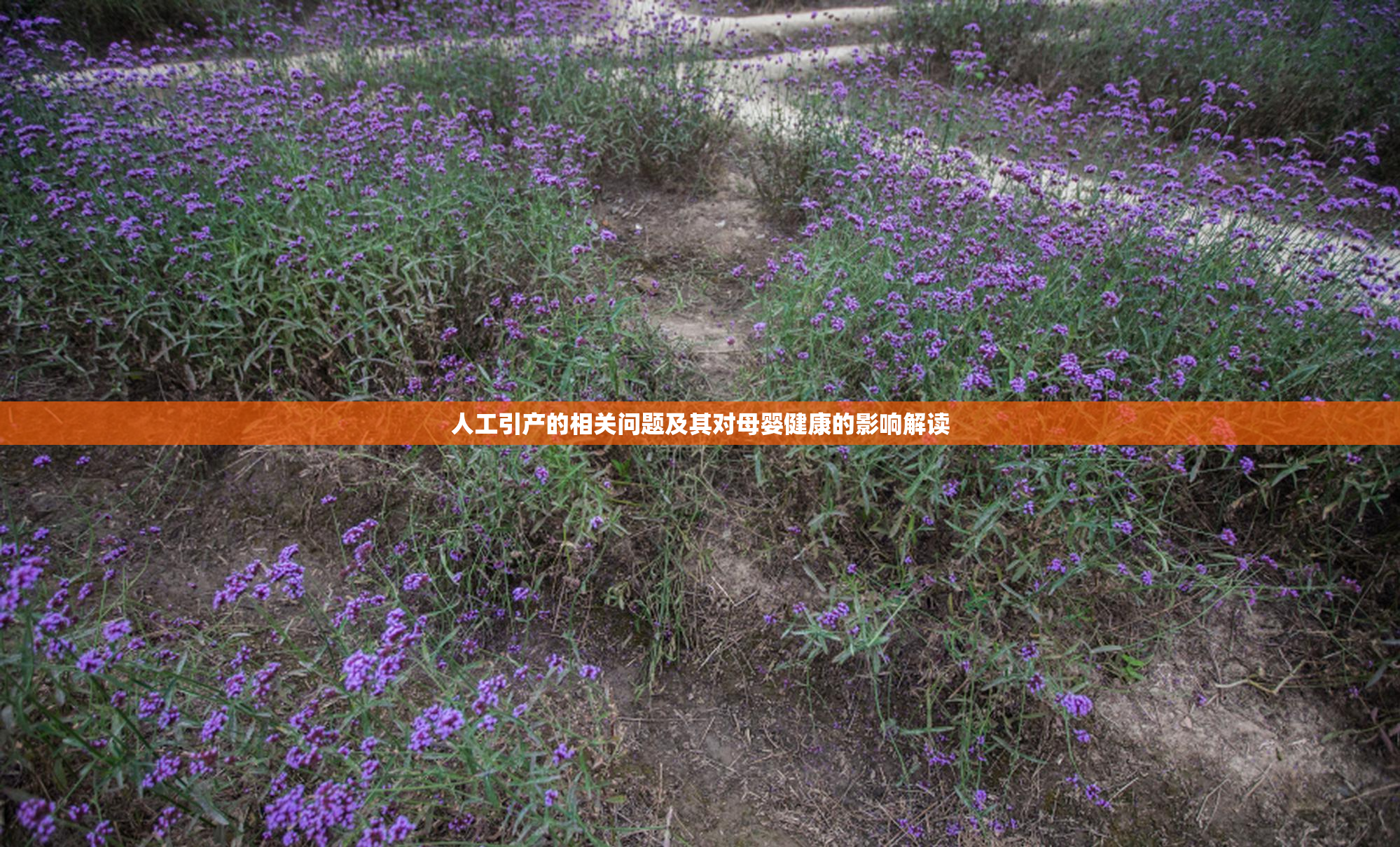 人工引产的相关问题及其对母婴健康的影响解读