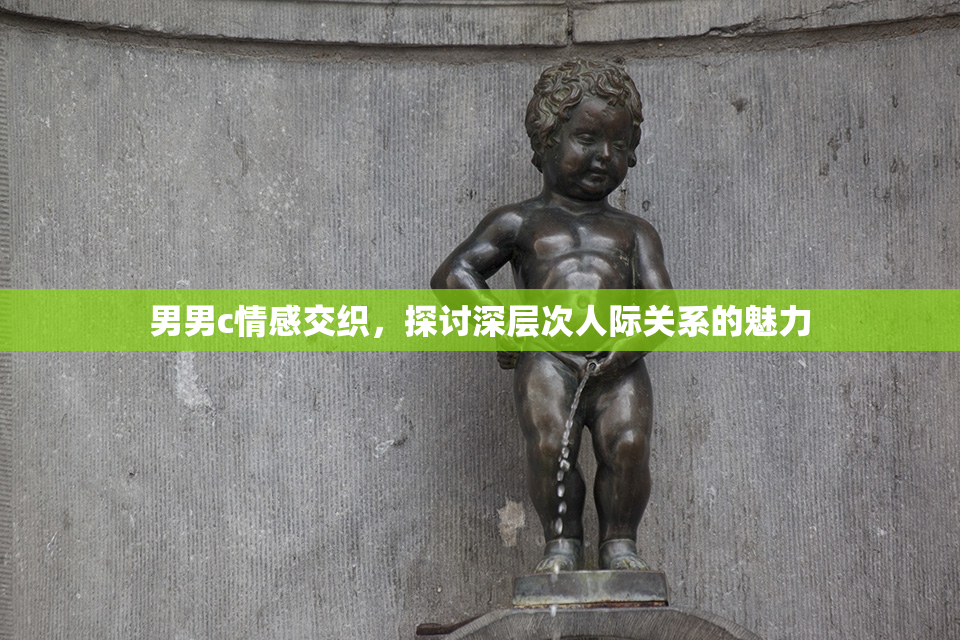 男男c情感交织，探讨深层次人际关系的魅力