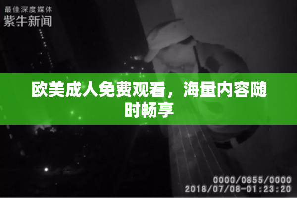 欧美成人免费观看，海量内容随时畅享