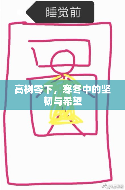 高树零下，寒冬中的坚韧与希望