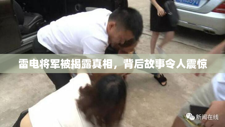 雷电将军被揭露真相，背后故事令人震惊