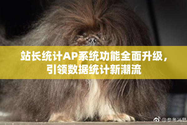站长统计AP系统功能全面升级，引领数据统计新潮流