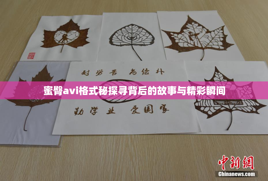 蜜臀avi格式秘探寻背后的故事与精彩瞬间