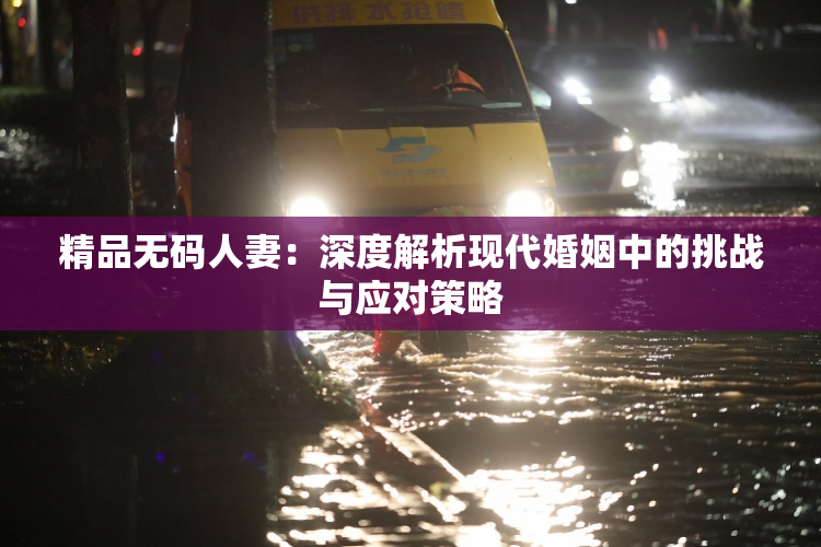 精品无码人妻：深度解析现代婚姻中的挑战与应对策略