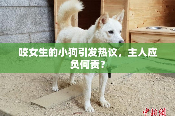 咬女生的小狗引发热议，主人应负何责？