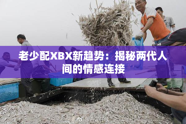 老少配XBX新趋势：揭秘两代人间的情感连接