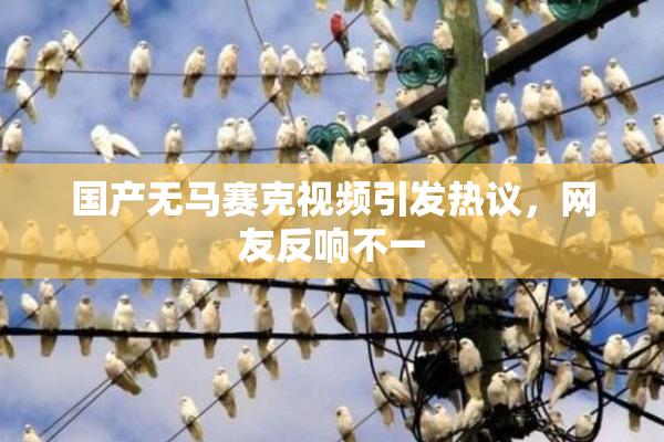 国产无马赛克视频引发热议，网友反响不一