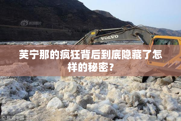 芙宁那的疯狂背后到底隐藏了怎样的秘密？
