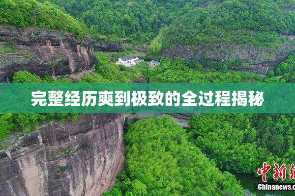 完整经历爽到极致的全过程揭秘