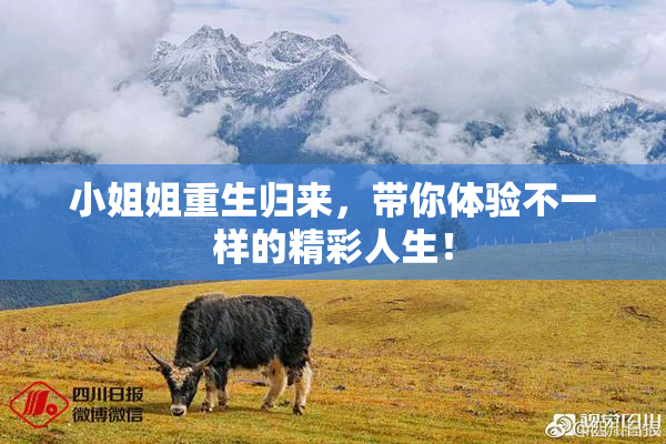小姐姐重生归来，带你体验不一样的精彩人生！