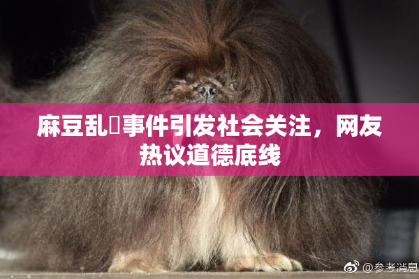 麻豆乱婬事件引发社会关注，网友热议道德底线