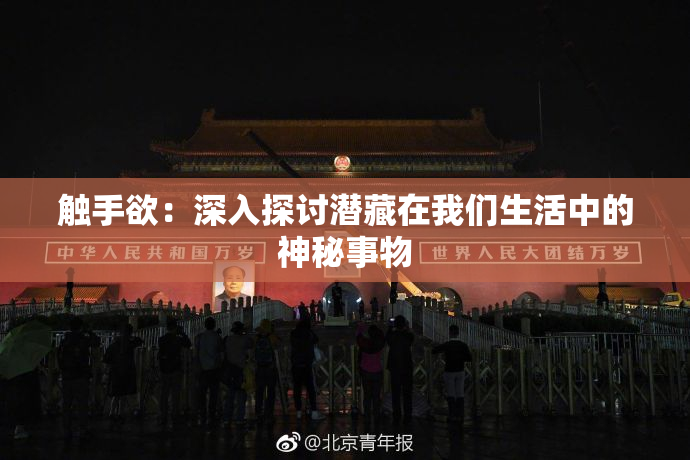 触手欲：深入探讨潜藏在我们生活中的神秘事物