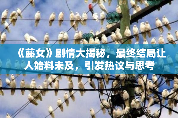 《藤女》剧情大揭秘，最终结局让人始料未及，引发热议与思考