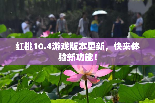 红桃10.4游戏版本更新，快来体验新功能！