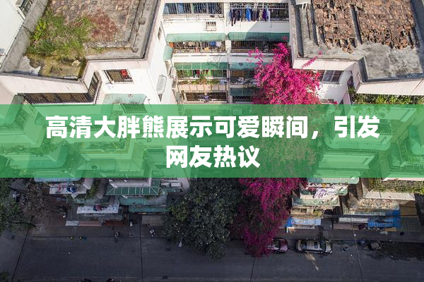 高清大胖熊展示可爱瞬间，引发网友热议
