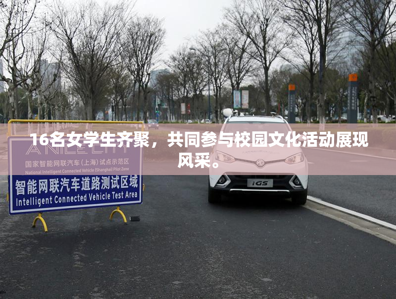 16名女学生齐聚，共同参与校园文化活动展现风采。