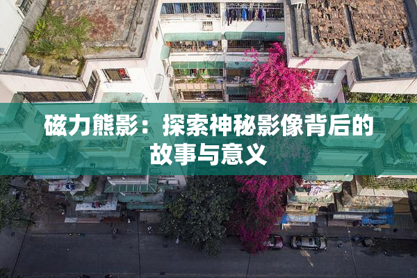磁力熊影：探索神秘影像背后的故事与意义