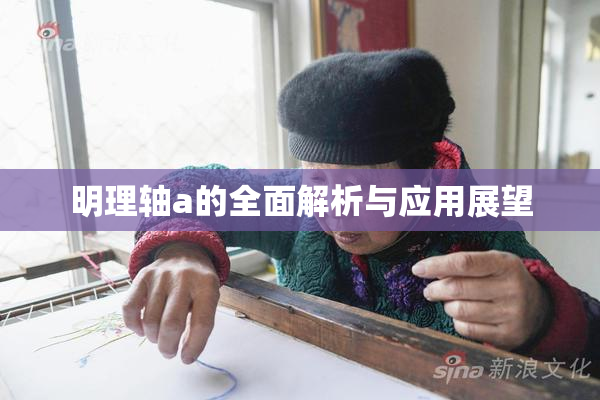 明理轴a的全面解析与应用展望