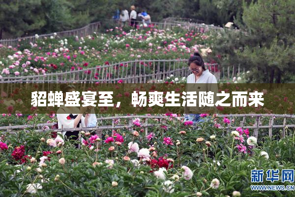貂蝉盛宴至，畅爽生活随之而来