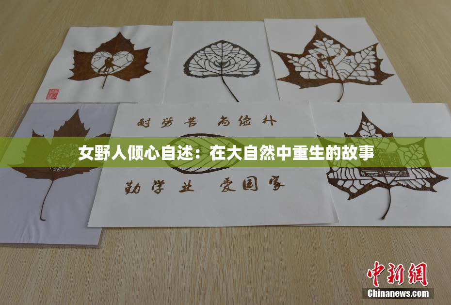 女野人倾心自述：在大自然中重生的故事