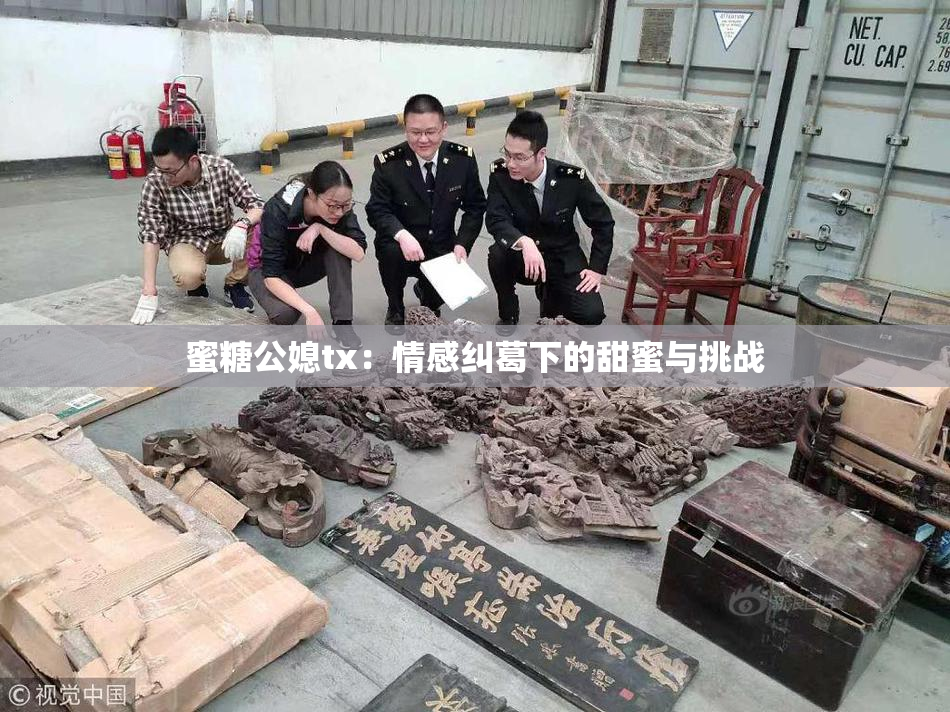 蜜糖公媳tx：情感纠葛下的甜蜜与挑战