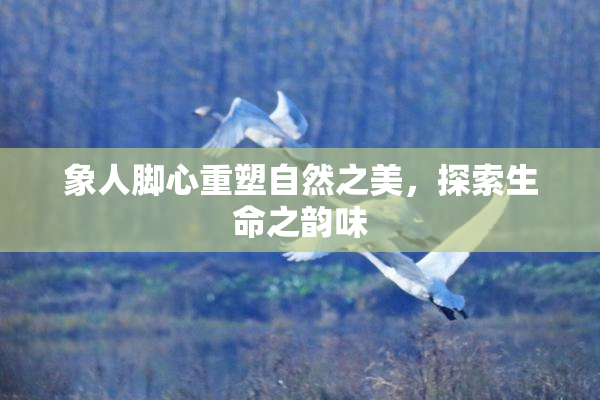 象人脚心重塑自然之美，探索生命之韵味