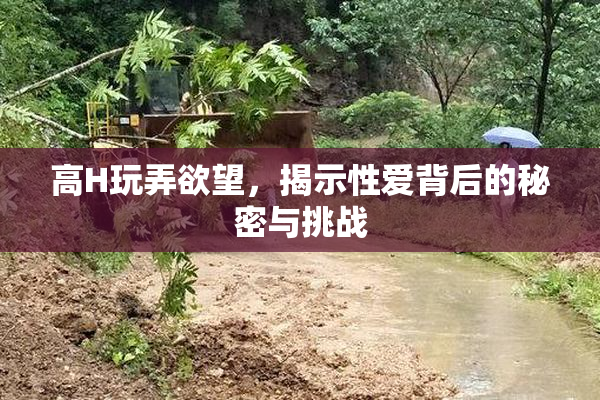 高H玩弄欲望，揭示性爱背后的秘密与挑战