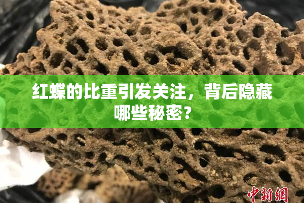 红蝶的比重引发关注，背后隐藏哪些秘密？