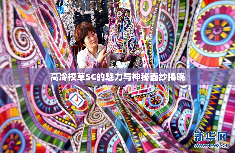 高冷校草SC的魅力与神秘面纱揭晓