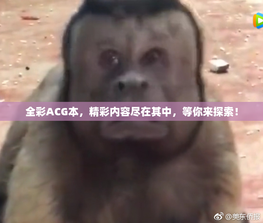 全彩ACG本，精彩内容尽在其中，等你来探索！