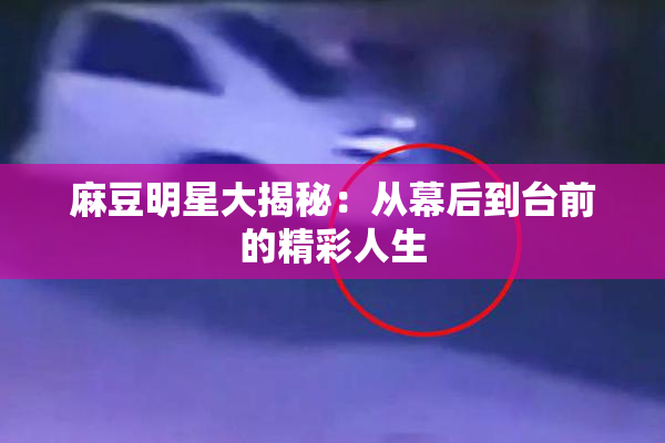 麻豆明星大揭秘：从幕后到台前的精彩人生