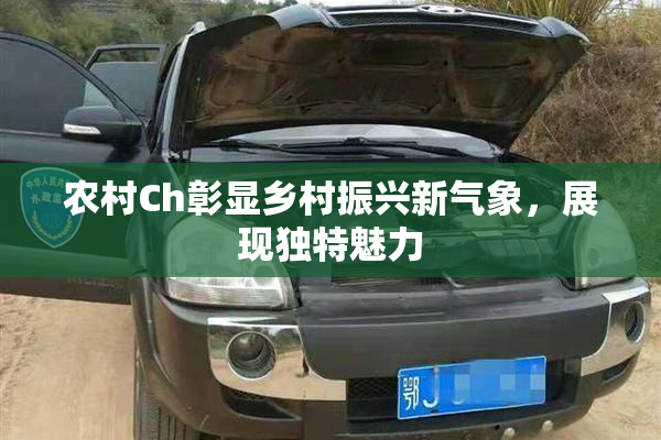 农村Ch彰显乡村振兴新气象，展现独特魅力