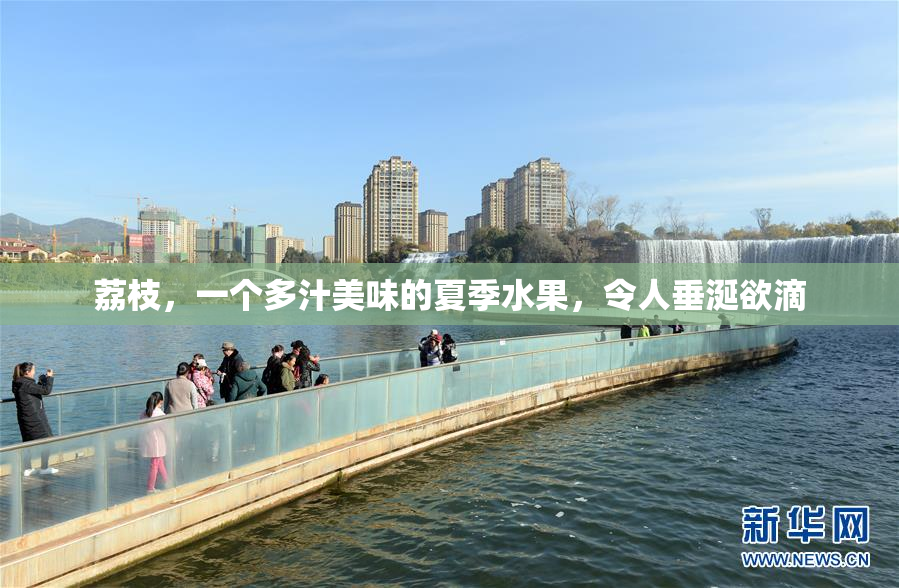荔枝，一个多汁美味的夏季水果，令人垂涎欲滴