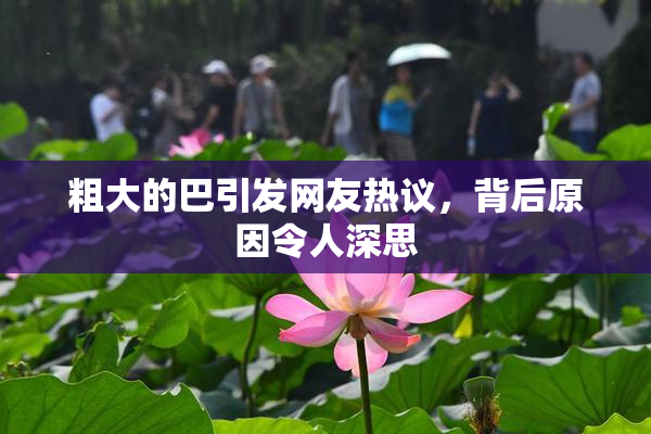 粗大的巴引发网友热议，背后原因令人深思