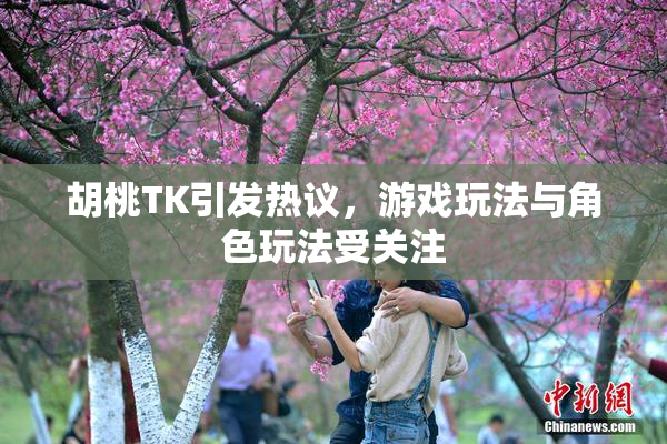 胡桃TK引发热议，游戏玩法与角色玩法受关注