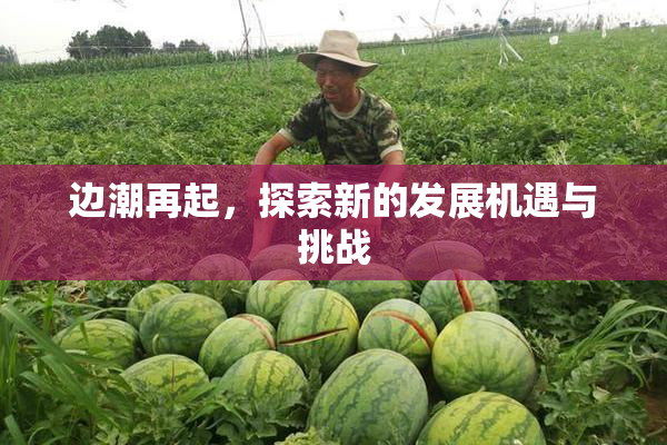 边潮再起，探索新的发展机遇与挑战