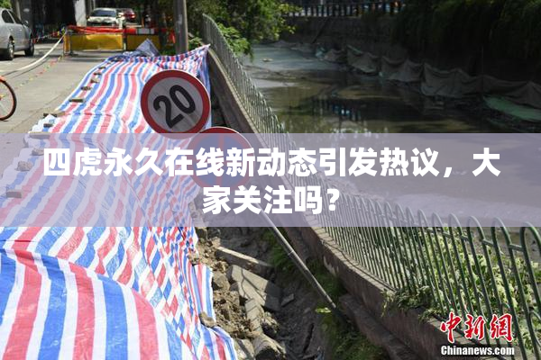 四虎永久在线新动态引发热议，大家关注吗？