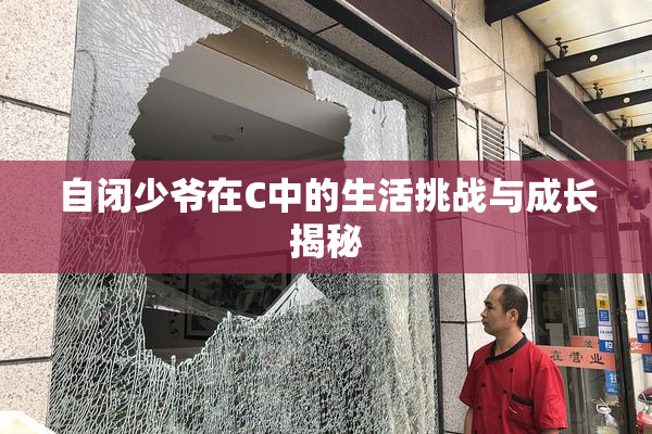 自闭少爷在C中的生活挑战与成长揭秘