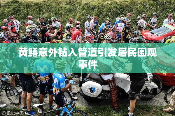 黄鳝意外钻入管道引发居民围观事件