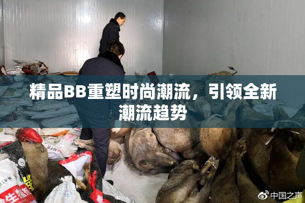 精品BB重塑时尚潮流，引领全新潮流趋势