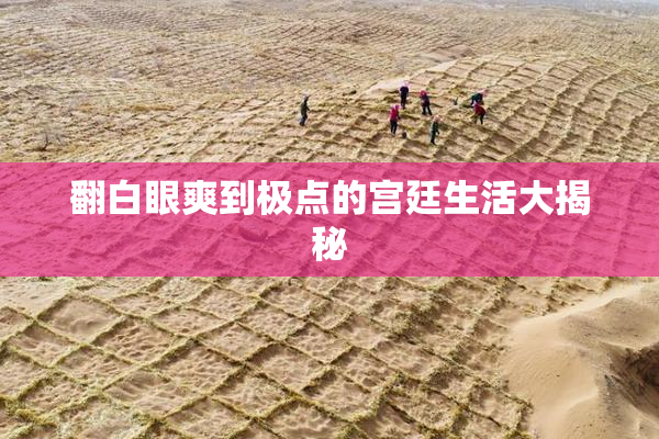 翻白眼爽到极点的宫廷生活大揭秘