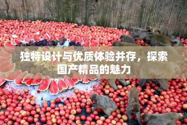 独特设计与优质体验并存，探索国产精品的魅力