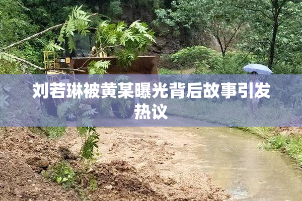 刘若琳被黄某曝光背后故事引发热议