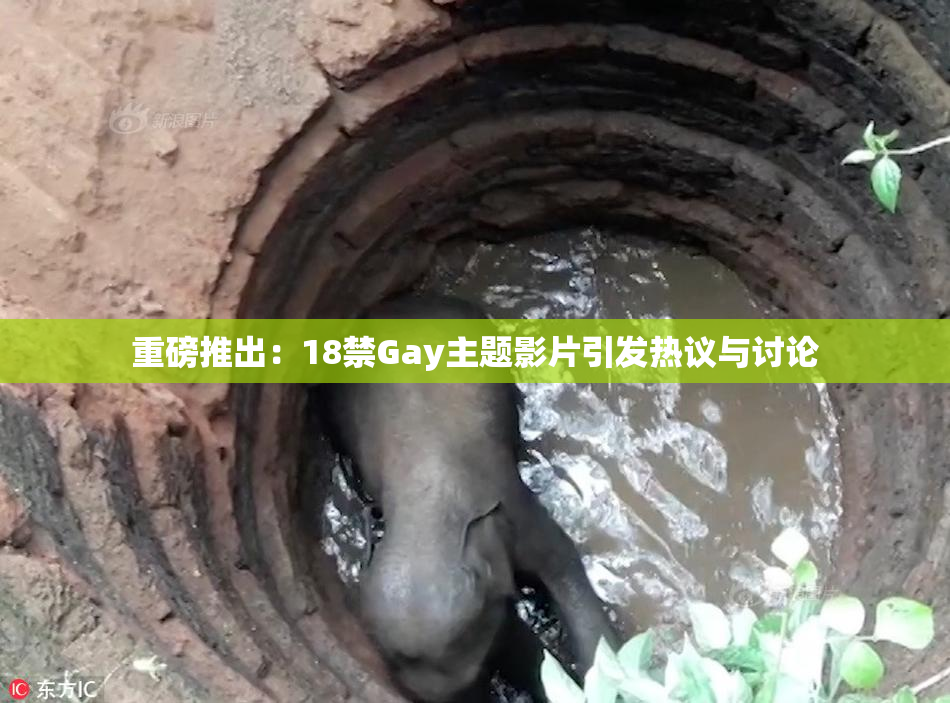 重磅推出：18禁Gay主题影片引发热议与讨论
