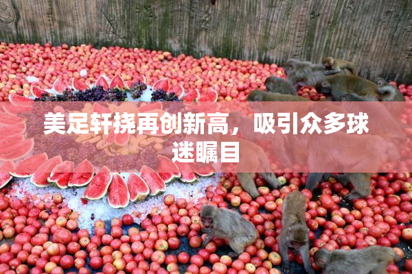 美足轩挠再创新高，吸引众多球迷瞩目