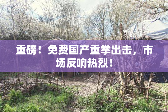 重磅！免费国产重拳出击，市场反响热烈！