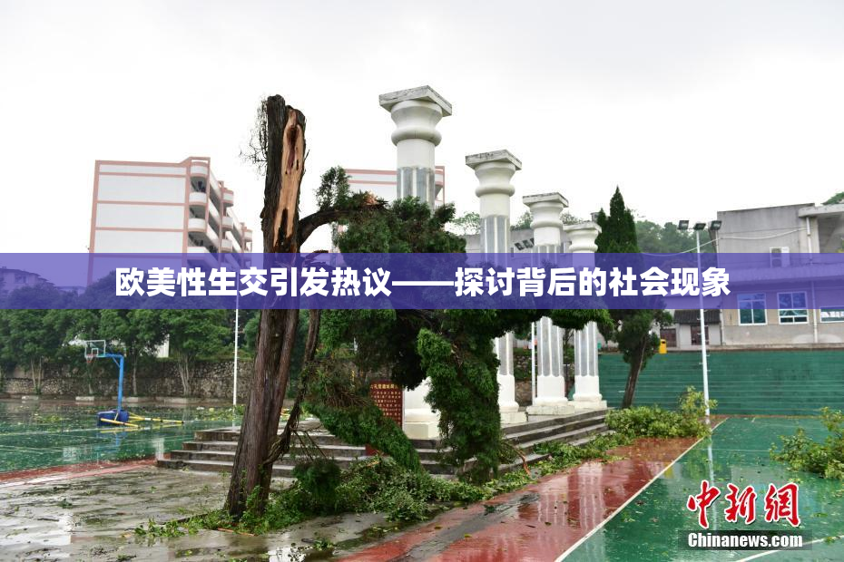 欧美性生交引发热议——探讨背后的社会现象