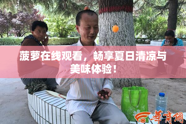 菠萝在线观看，畅享夏日清凉与美味体验！